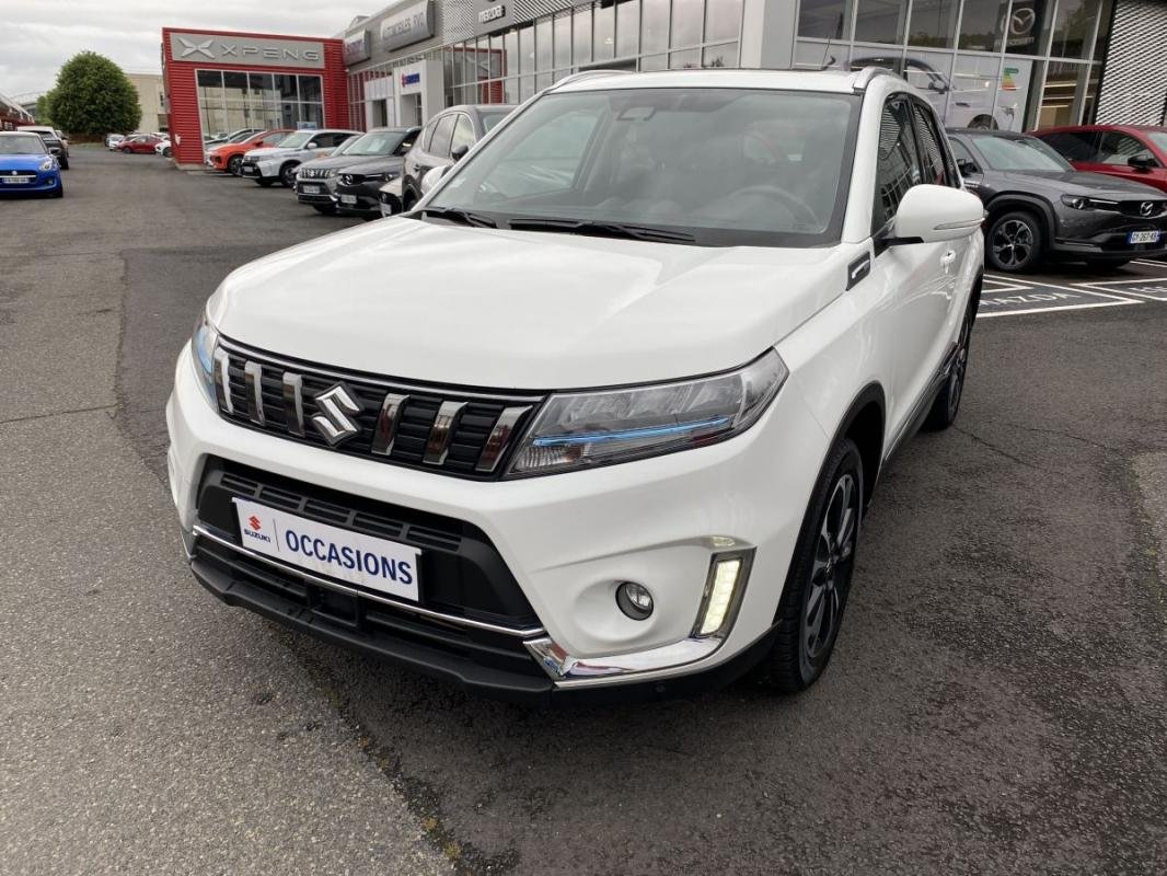suzuki - Visuel 0