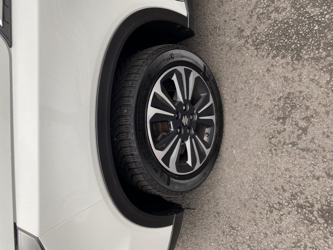 suzuki - Visuel 5