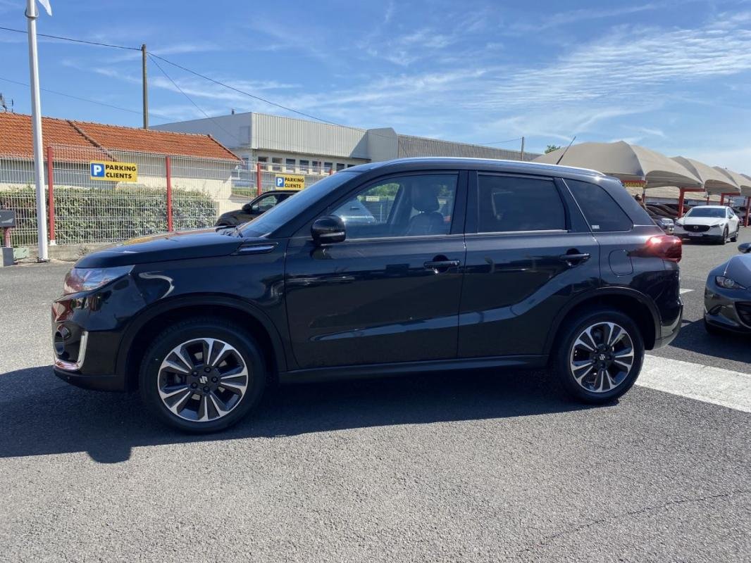 suzuki - Visuel 1