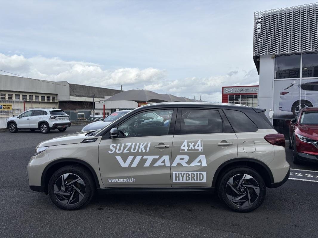 suzuki - Visuel 7