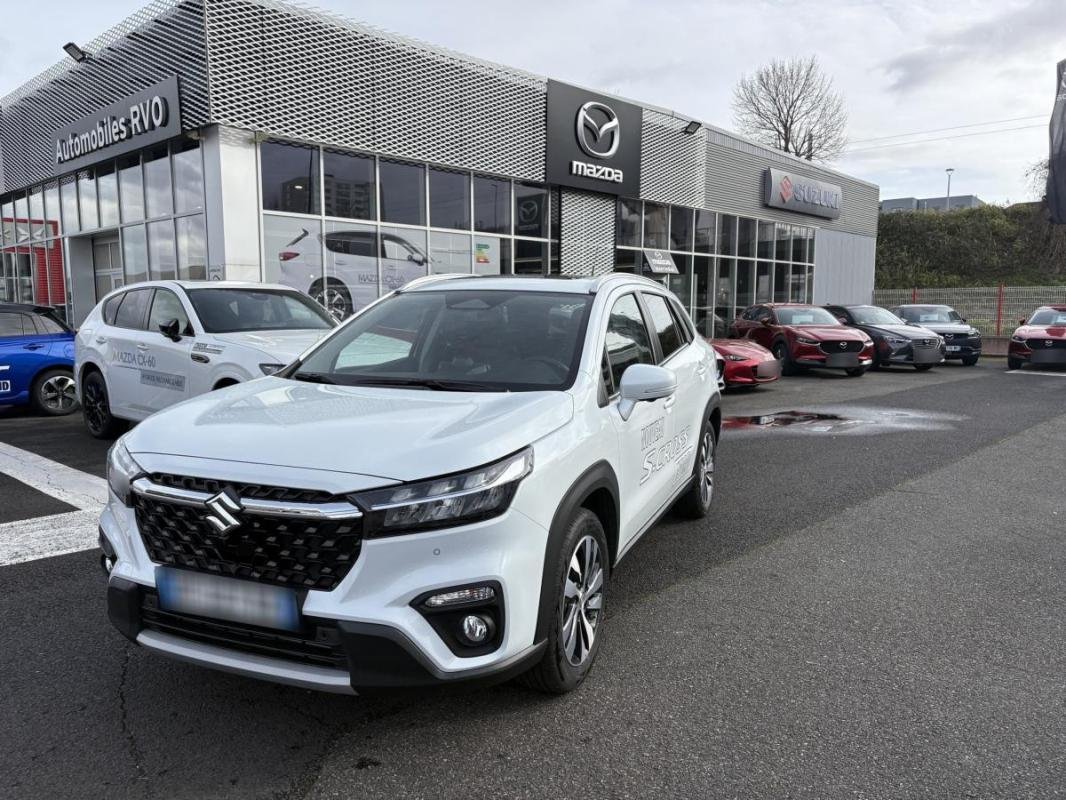 suzuki - Visuel 0