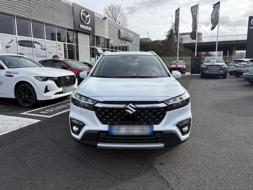 suzuki - Visuel 1