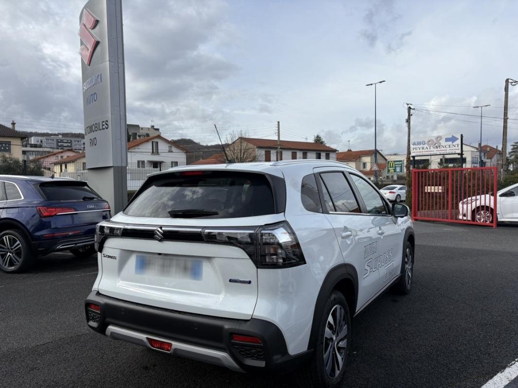suzuki - Visuel 4