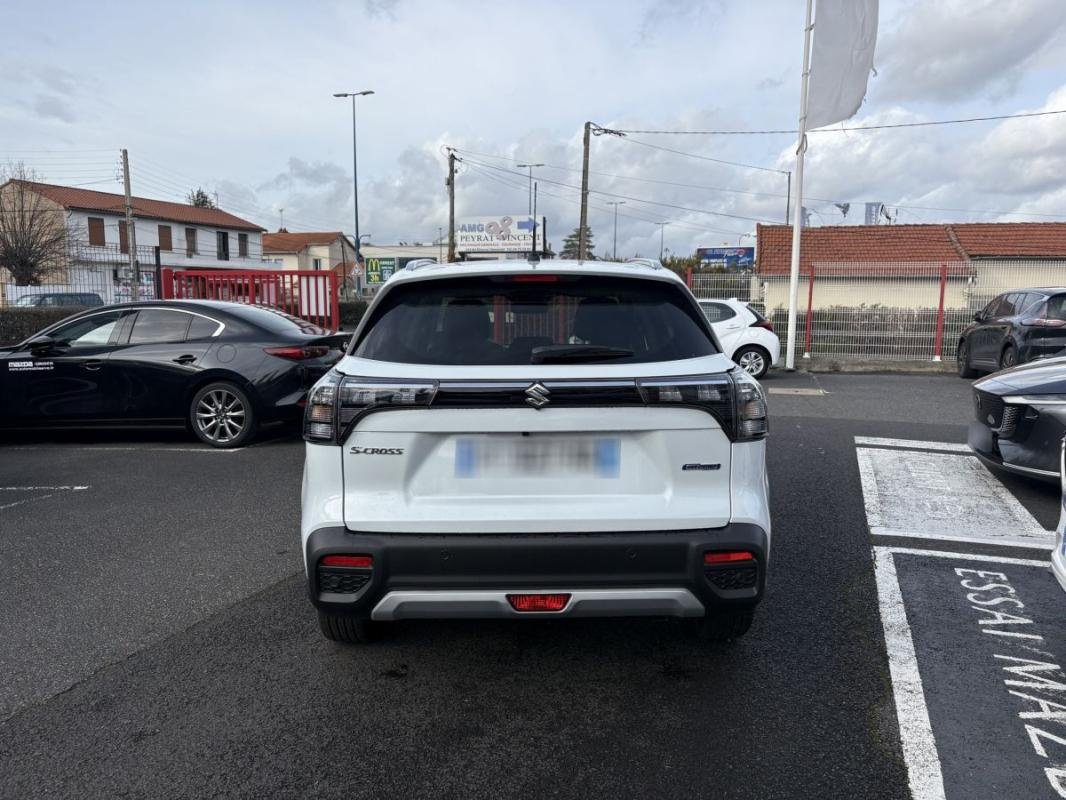 suzuki - Visuel 5