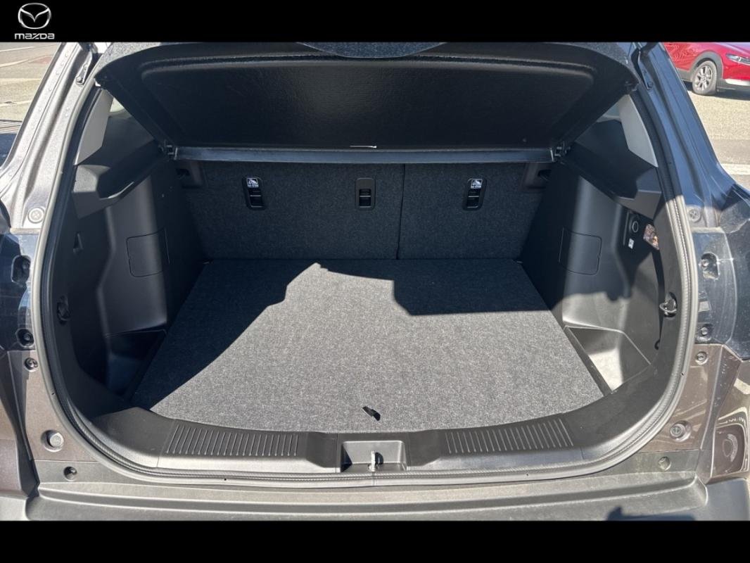 suzuki - Visuel 4