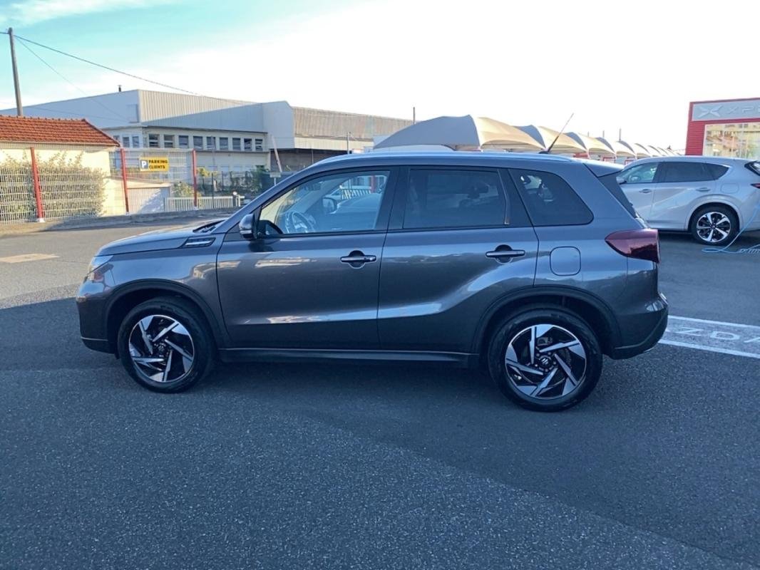 suzuki - Visuel 7